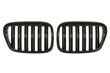 Решітка радіатора BLIC 6502-07-00659911KP