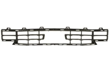 Решітка бампера передн (середн, чорн, BASIS) BMW 1 F40 07.19- BLIC 6502070073910P