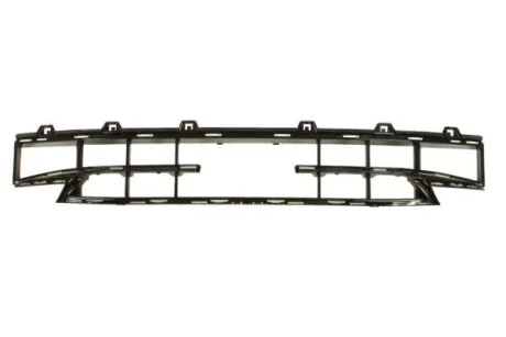 Решітка бампера передн (середн, відкритий, чорн глянець, SPORT) BMW 1 F40 07.19- BLIC 6502070073911P