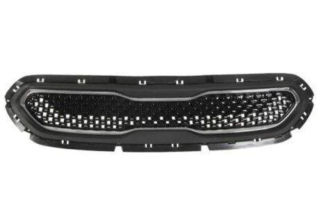 Решітка радіатора BLIC 6502-07-1618990P (фото 1)