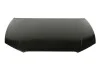 Капот 6803-00-0027282AP
