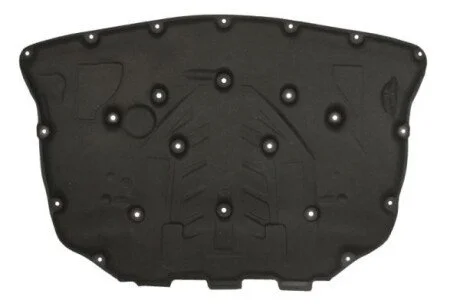 Панель під капотом BLIC 6804-00-0066291P