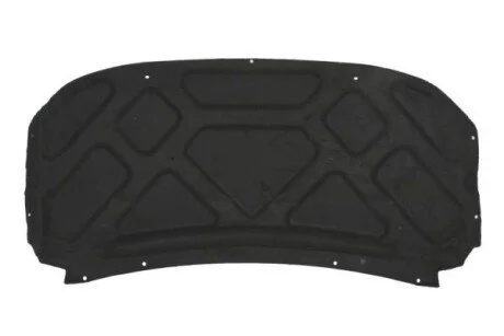 Панель под капотом BLIC 6804-00-2555290P