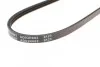 Поликлиновый ремень 3PK682 BLUE PRINT AD03R682 (фото 3)