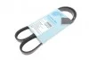 BLUE PRINT Ремень поликлиновый 4PK1020 AD04R1020