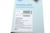 Ремінь генератора поліклиновий BLUE PRINT AD04R830 (фото 6)