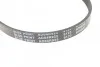 Ремень поликлиновый 4PK925 BLUE PRINT AD04R925 (фото 4)