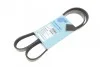 BLUE PRINT Ремень П-клиновой 5PK1250 AD05R1253