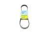 BLUE PRINT Ремень 5PK810 AD05R810