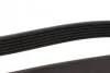 Ремень поликлиновый 6PK1080 SUBARU Outback 3,6 09-, HONDA BLUE PRINT AD06R1080 (фото 2)