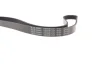 Ремінь поліклиновий 6PK1237 TOYOTA BLUE PRINT AD06R1237 (фото 4)