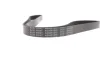 Ремінь поліклиновий 6PK1245 TOYOTA BLUE PRINT AD06R1245 (фото 4)