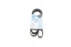 Ремінь генератора поліклиновий BLUE PRINT AD06R1555 AD06R1555