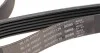 Ремень 6PK1725 BLUE PRINT AD06R1725 (фото 3)