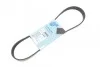 BLUE PRINT Ремень П-клиновой 6PK805 AD06R805