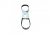 BLUE PRINT  6PK870 PEUGEOT Partner, Expert, 206/306 98- AD06R870