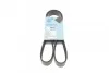 BLUE PRINT Ремень поликлиновый 8PK1225 AD08R1225
