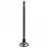 ZAWOR SSACY ADBP610034