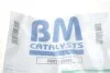Сажевий фільтр BM CATALYSTS BM11096H (фото 2)