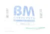 Каталізатор BM CATALYSTS BM91518H (фото 2)