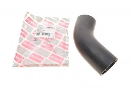 Фото 1 - патрубок інтеркулера BOGAP B1711111 Патрубок інтеркулера BOGAP B1711111 (фото 1)