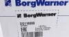 Насос масляный BorgWarner DS118589 (фото 2)
