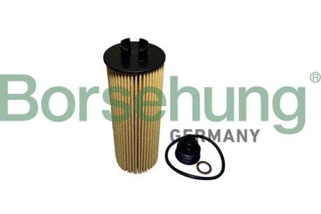 Oil filter element Borsehung B10436