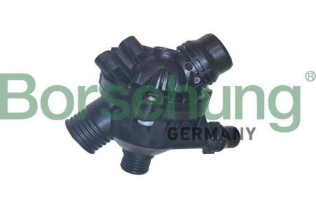 Thermostat assembly Borsehung B10552