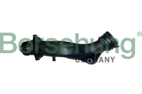 Thermostat assembly Borsehung B10560