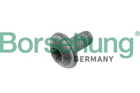 Oval hexagon socket head bolt Borsehung B10635 (фото 1)