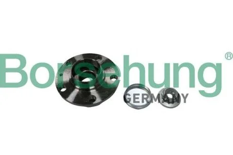 Подшипник ступицы с монтажными деталями Borsehung B11287