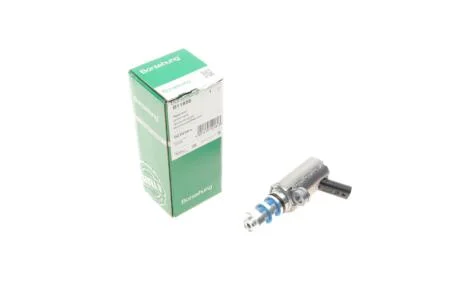 Контрольний клапан Borsehung B11858 (фото 1)