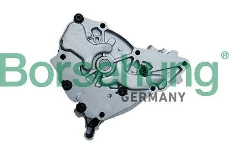 Oil pump Borsehung B11902