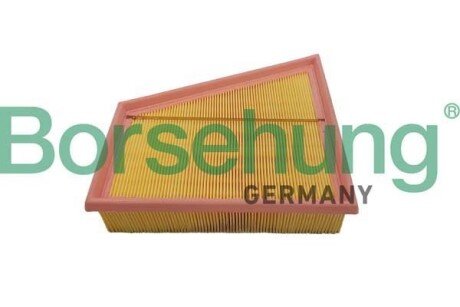 Air filter element Borsehung B12359