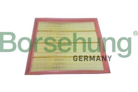 Air filter element Borsehung B12443