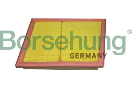 Air filter element Borsehung B12451