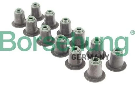 Сальник клапанів випуск 12 шт Borsehung B12507