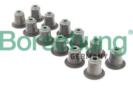 Сальник клапанів випуск 12 шт Borsehung B12508