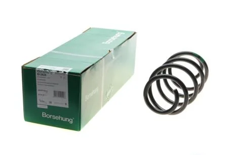 Передня пружина Borsehung B12625