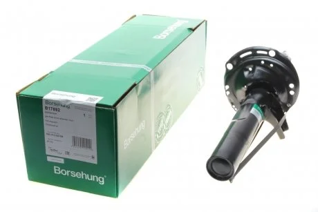Газонаполненный амортизатор Borsehung B17892