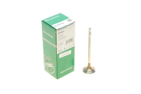Клапан впускний 04L109601H VAG Borsehung B19023