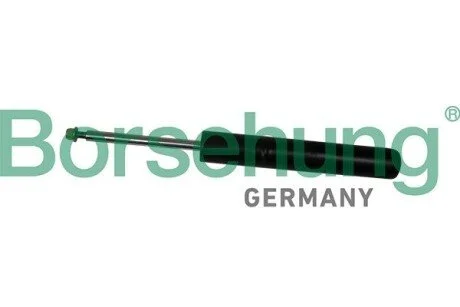 Передній амортизатор Borsehung B19275