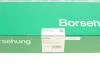 Натяжна планка ланцюга ГРМ Borsehung B1G049 (фото 5)