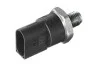 Елемент системи Common Rail BOSCH 0 281 002 498 (фото 1)