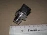 Датчик високого тиску BOSCH 0 281 002 846 (фото 2)