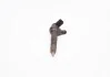 Форсунка топливная BOSCH 0 986 435 166 (фото 4)