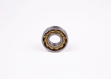 Подшипник BOSCH 1900900018 (фото 1)