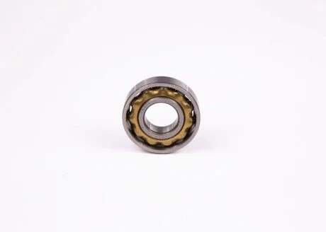 Подшипник BOSCH 1900900018 (фото 1)