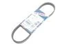 Ремень П-клиновой 5EPK711 (Elastic) FORD Focus C-Max 1.8 -07 BOSCH 1987946136 (фото 2)