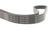 PASEK MICRO-V PASEK 6PK1249 FORD C-MAX 1.8 / 2.0 &lt;2010 SZT BOSCH 1987946173 (фото 4)